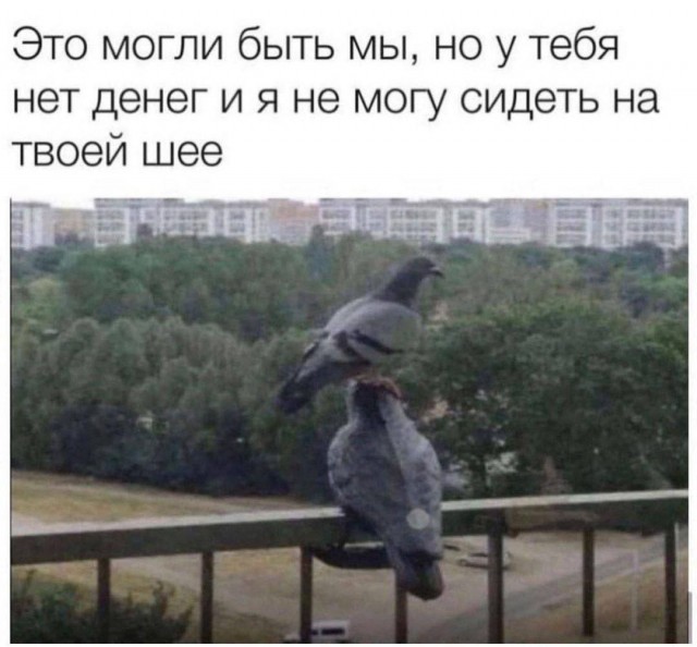 Завалялось тут случайно немного забавных картинок