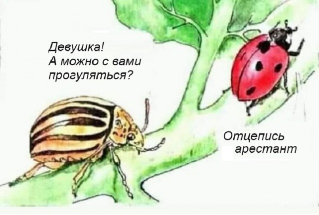 Картинки разные с надписями и без