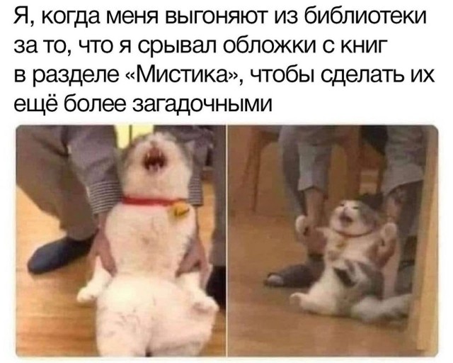 Завалялось тут случайно немного забавных картинок