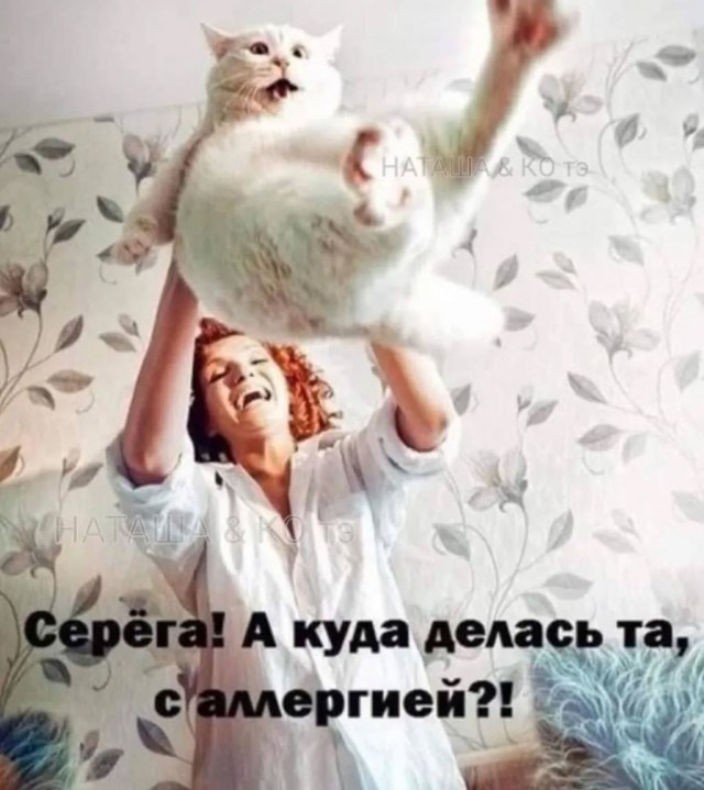 Завалялось тут случайно немного забавных картинок