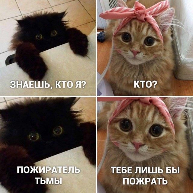 Поглощающая тьма