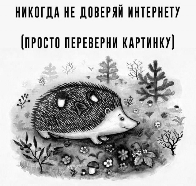 Нуштош 14.01.2025. Теперь ждем лета (s3e2)