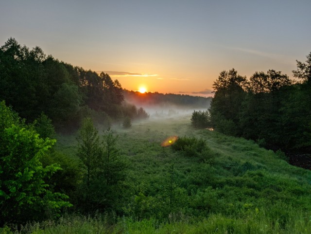 Жирные люди, извините