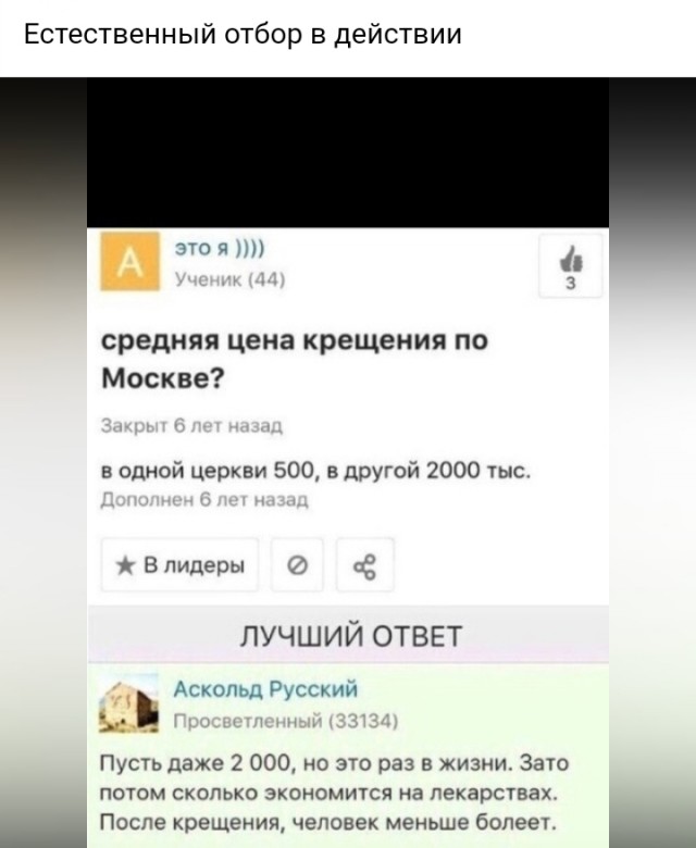 Так себе картинки 28.02.25