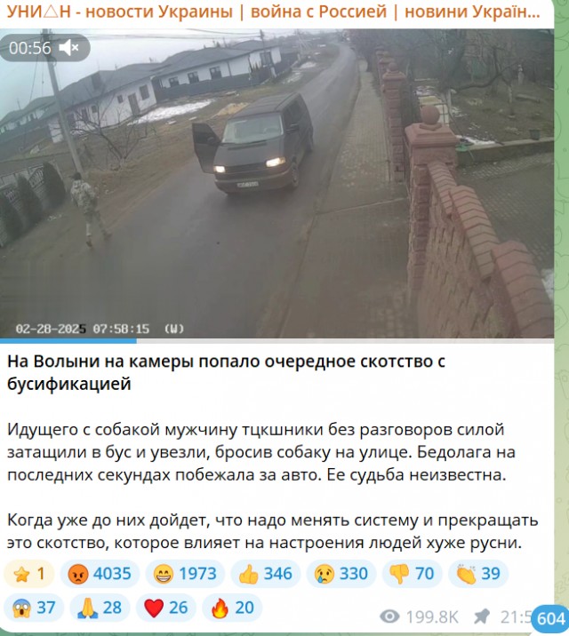 Погулял с собачкой