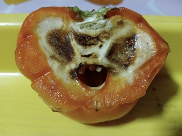 Доктор, что со мной. Я их вижу!