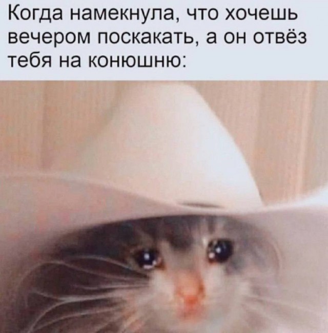 Так себе картинки 11.05.25