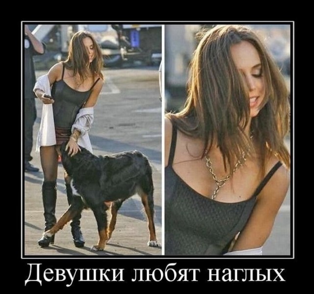 Завалялось тут случайно немного забавных картинок