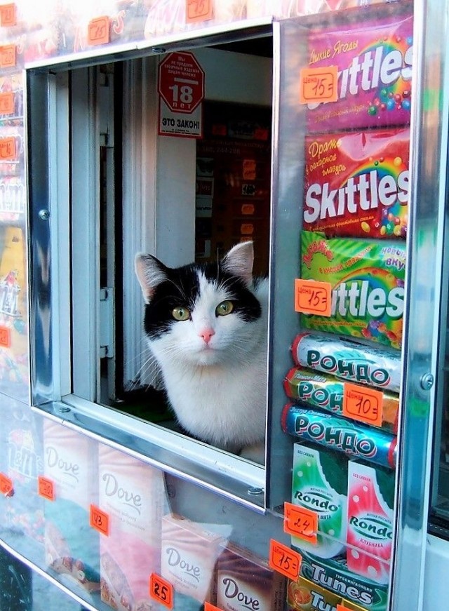 Интересные фотографии 1990 -х. 06.07.25