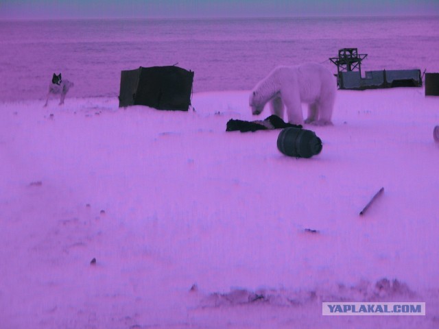 Cтанция Валькаркай