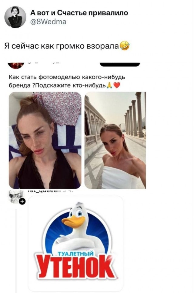 Чутка всякой дичи