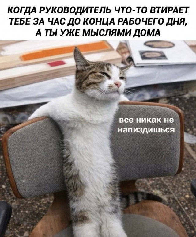 Потная гамсахурдия №5 (Картинки)