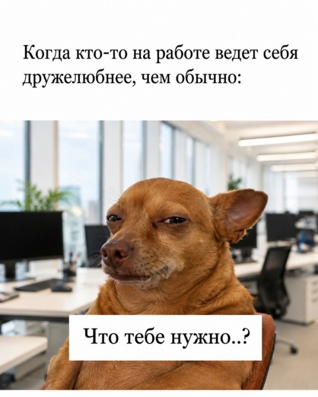 Картиночки, баянчики 14 июня