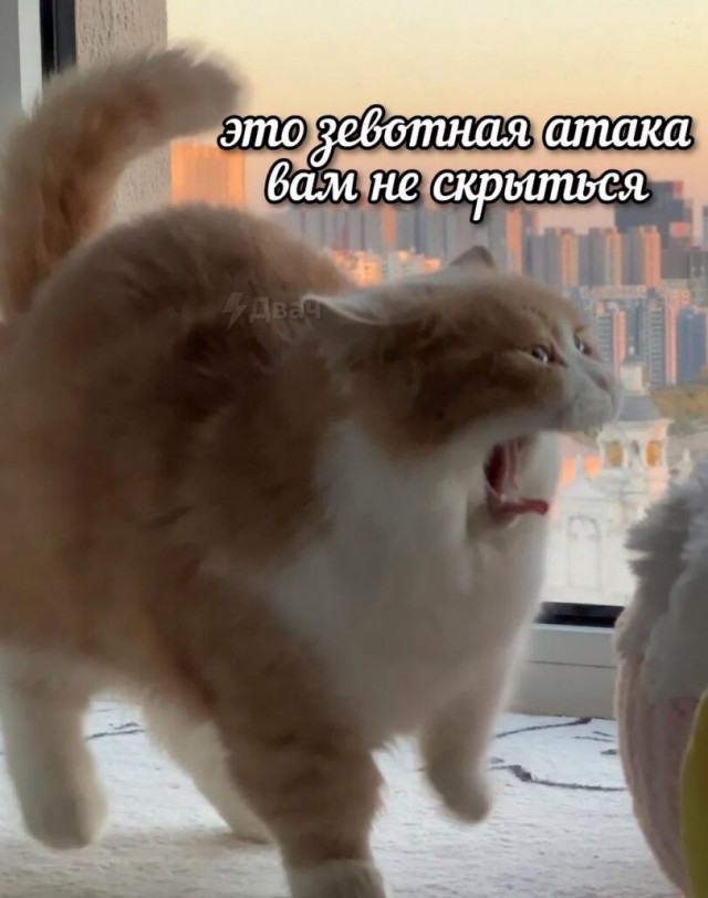 Есть только один способ избежать критики: ничего не делать, ничего не говорить и быть никем.