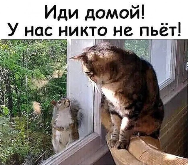Прикольные и просто красивые картинки 10.07.2026