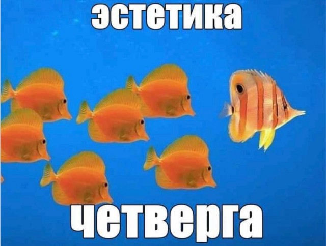 Веселое настроение в картинках 13.08.26