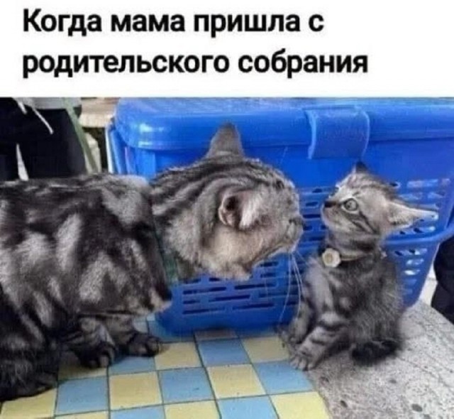 Так себе картинки 22.08.26