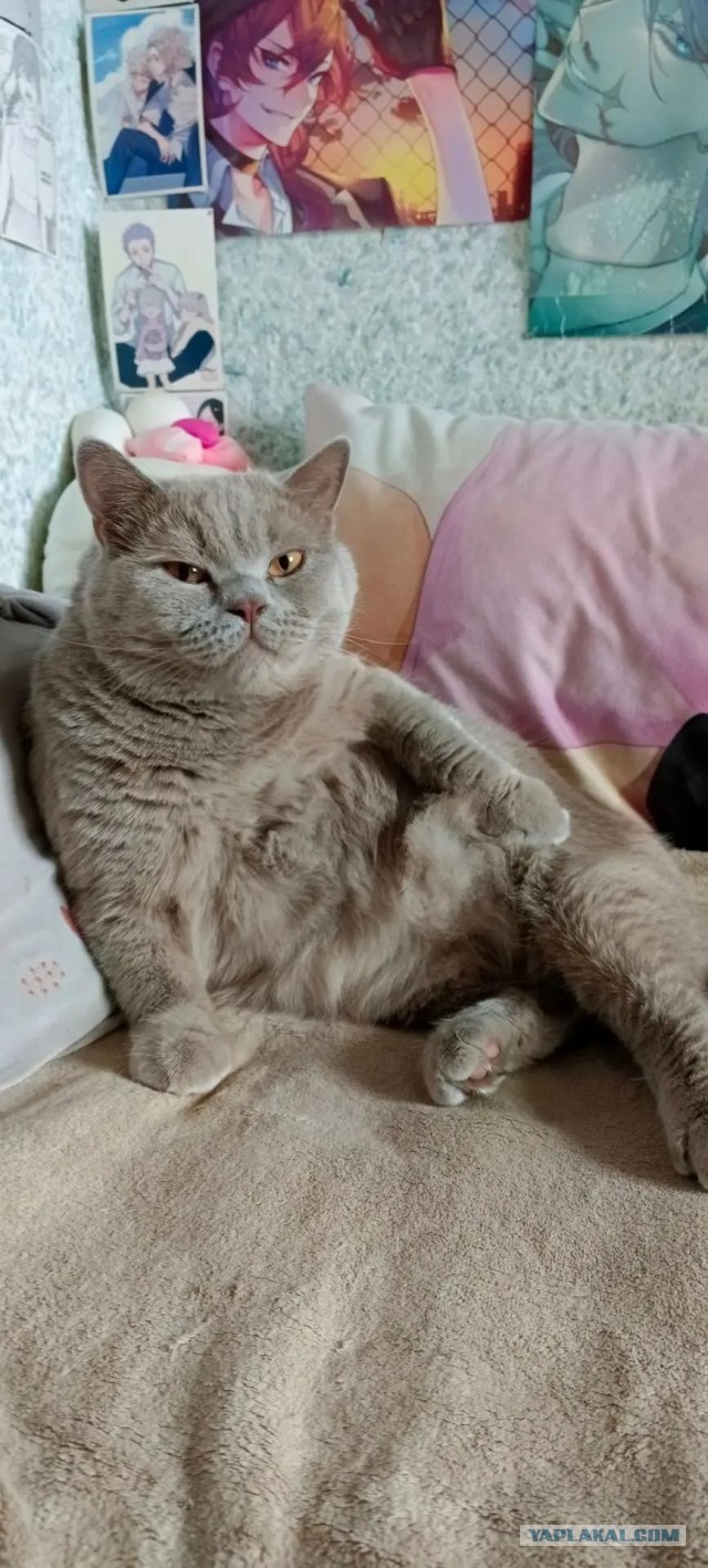 Ничто человеческое им не чуждо