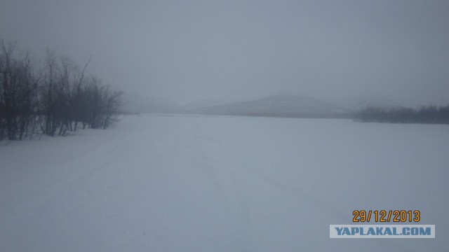 Пурговое