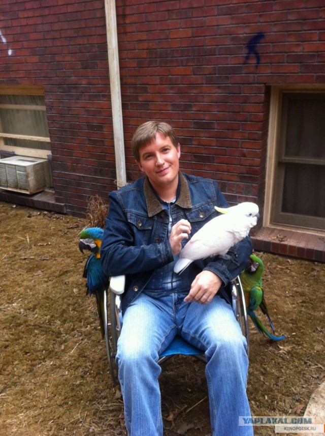 "Тупой и еще тупее": 20 лет спустя