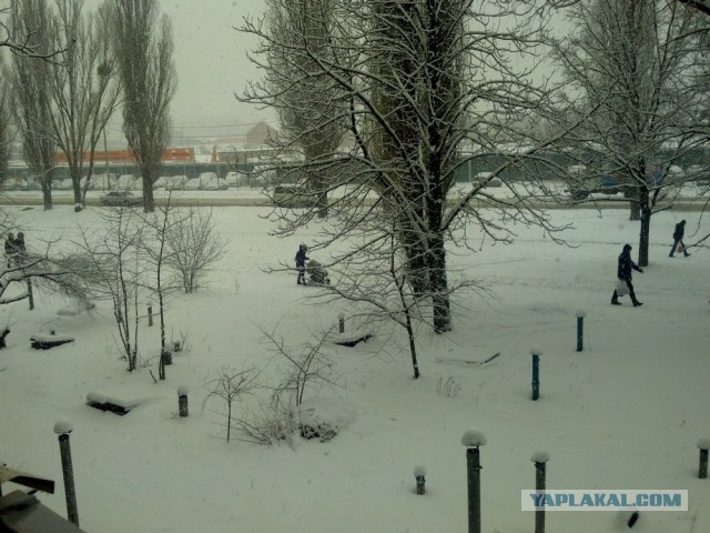 Трасса Нижневартовск-Сургут в -40 градусов