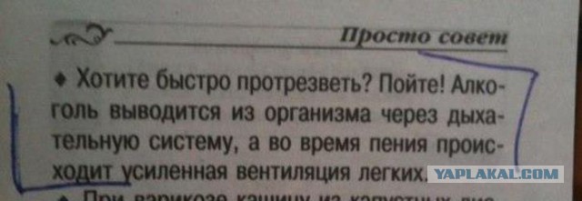 Веселые картинки? а так же комментарии)
