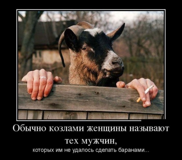 Демотиваторы.