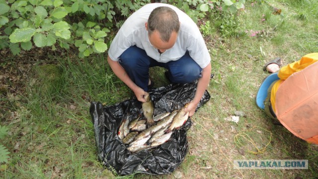 Вуокса 2014