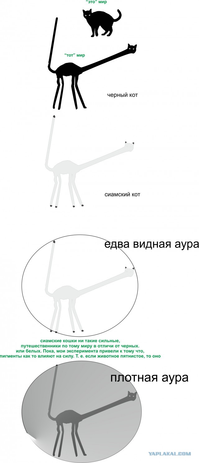 Что от нас скрывают?