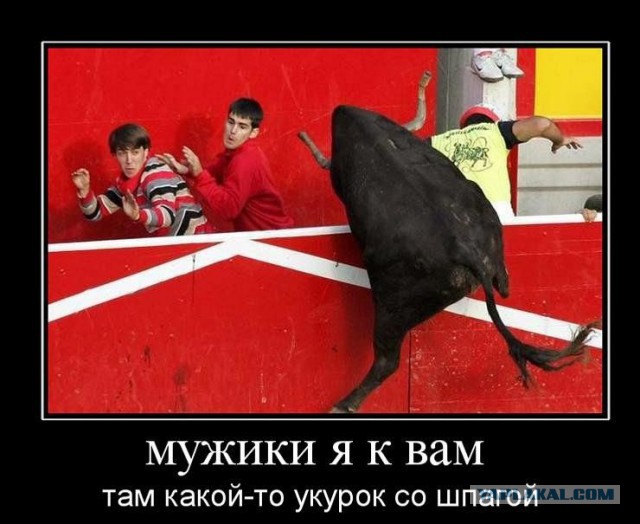 Демотиваторы вторника