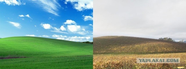 День памяти Windows XP