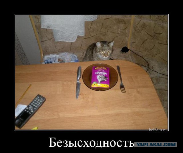 Куриные колбаски с грибами