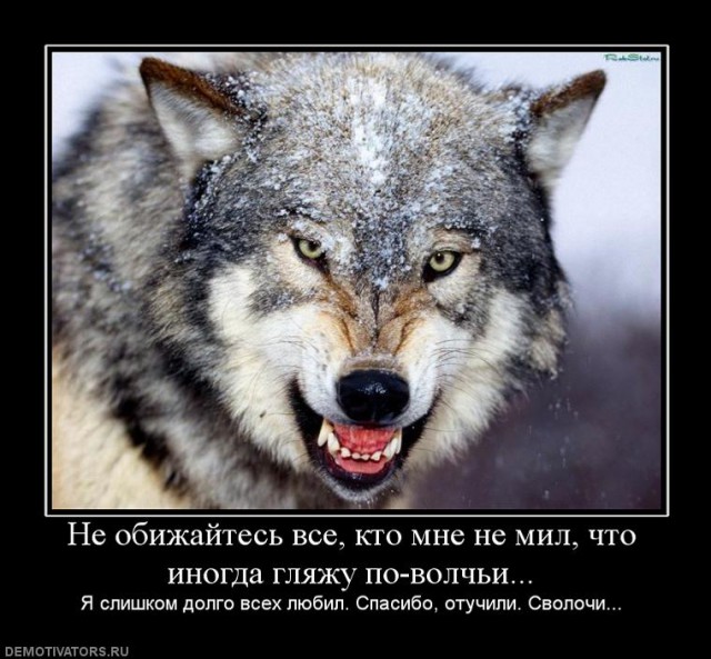 Вы хотите "демов"?