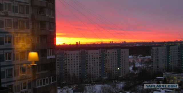 Они научили меня жить