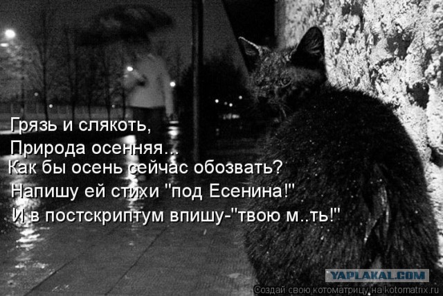 Пост обожания осени