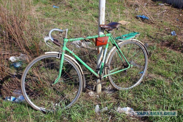 Сельскохозяйственный эксперимент ч. 7