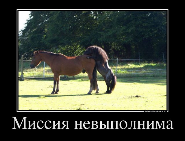 Картинки , гифки , живые фото