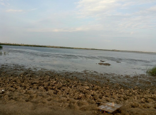 Море. Рапаны. Трофеи.