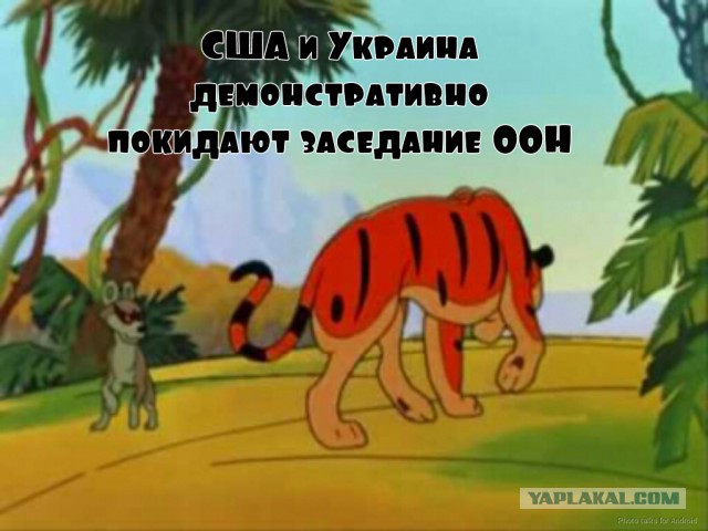 Россия наложила вето на французскую резолюцию по Сирии.