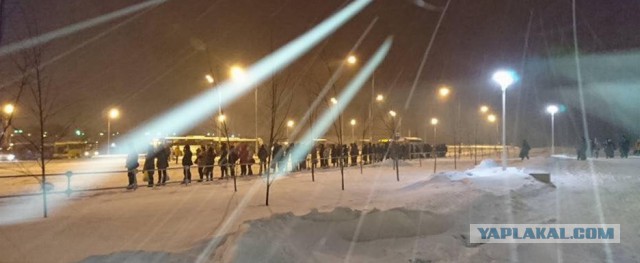 Новая Москва, сегодня, утро