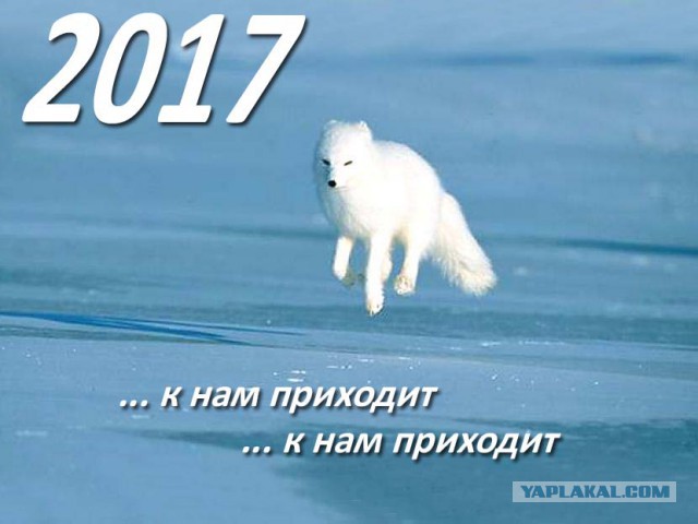 2016, уходи