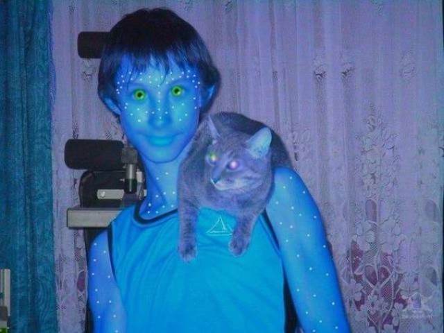 "Компот" из картинок в сети.
