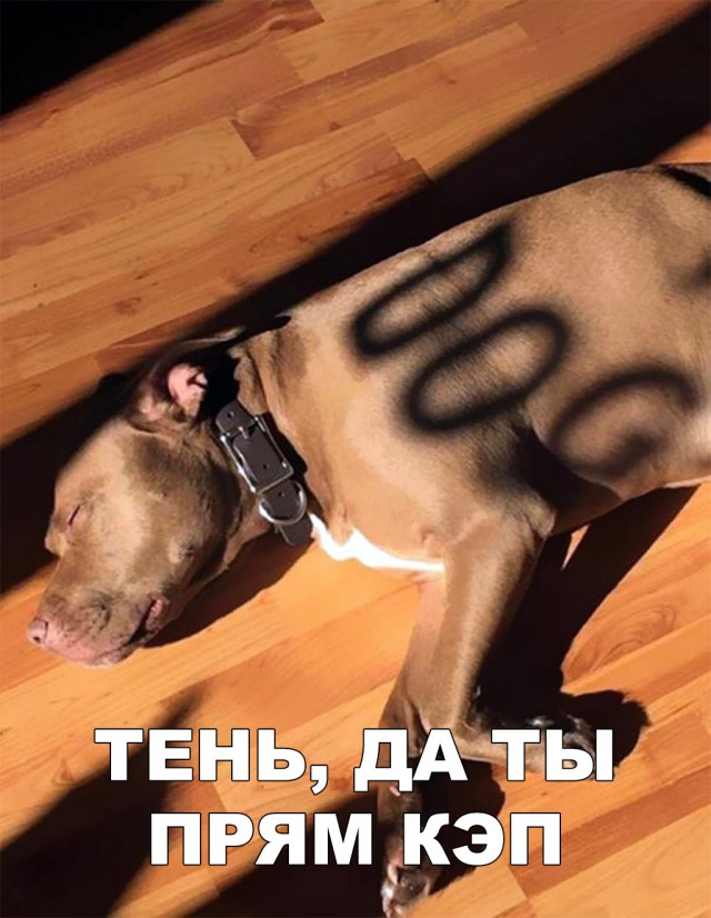 Нестандартный юмор