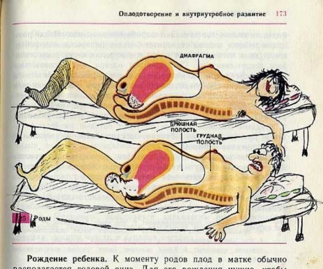 Учебник и скучающий ученик