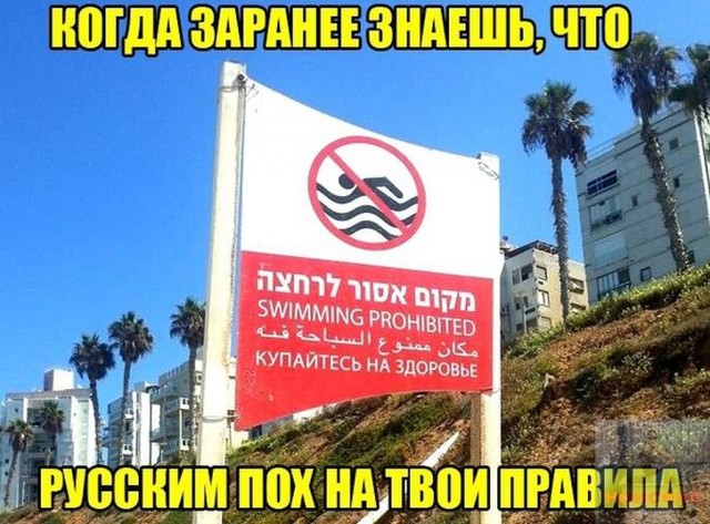 Чуток картинок 20.07.20