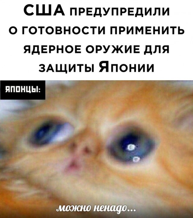 Весёлый полтишок 19.04