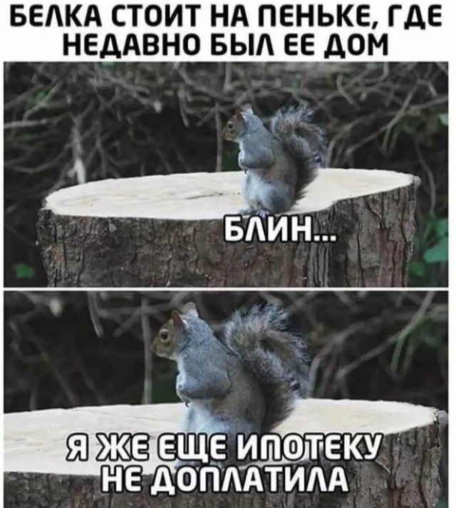 Так себе картинки 01.11.2021