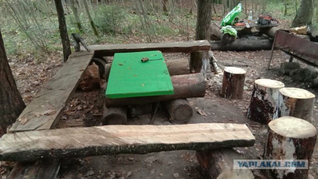 Сашка-леший и его поляна: белорус разбил лагерь рядом с городом и прячется там от безумия мира
