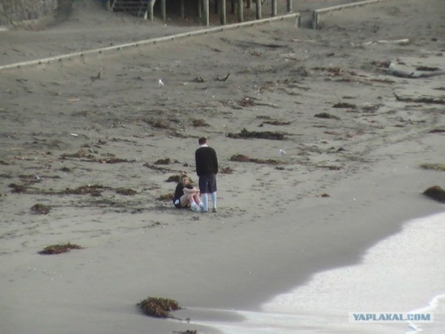 На машине по Новой Зеландии