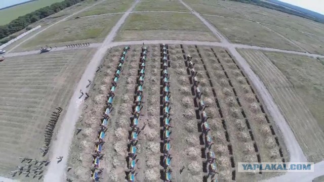 Военные из Мурманской области погибли на Украине